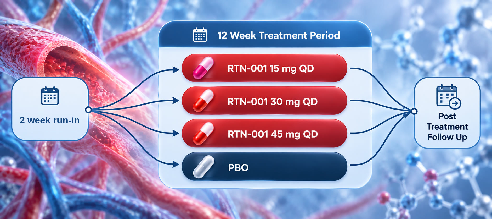 Phase 2b trial schema: 2-week run-in, then 12-week treatment with RTN-001 15 mg, 30 mg, or 45 mg QD or placebo, followed by post-treatment follow-up.